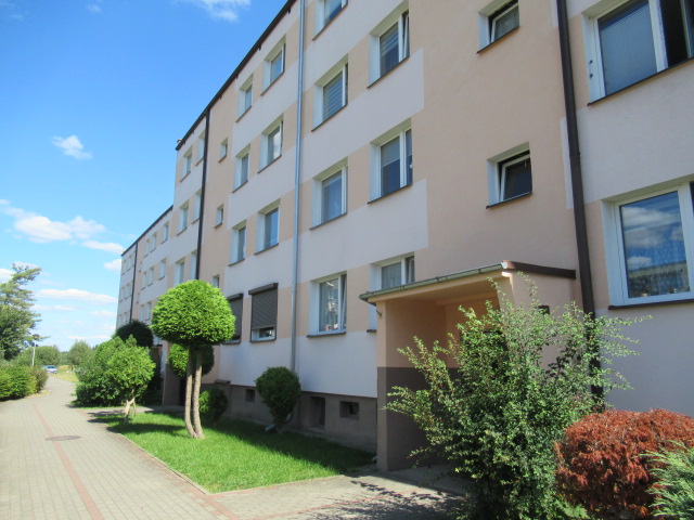 files/music_academy/campus/szylobryt/szylobryt 8.JPG